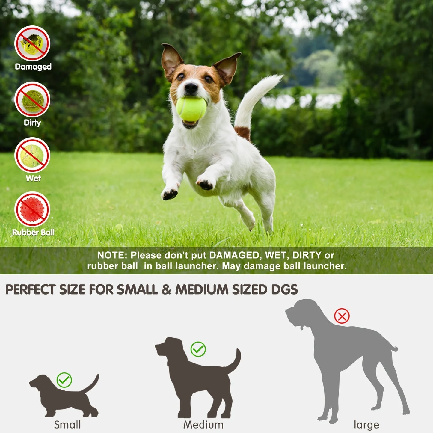 ZoomFetch