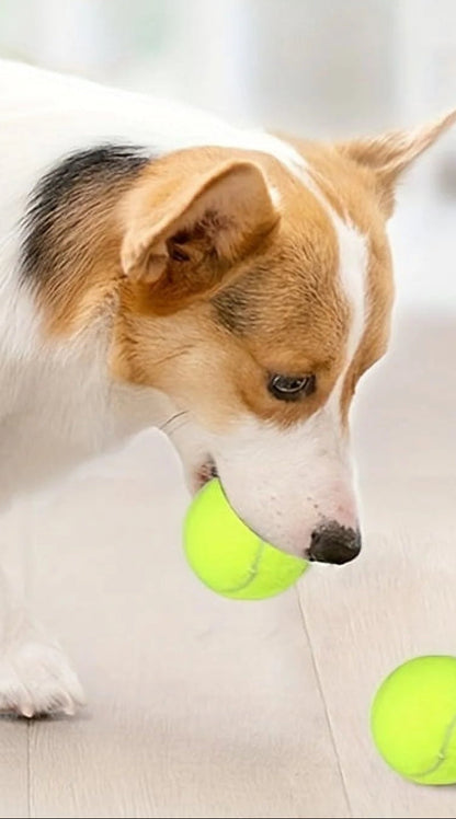 ZoomFetch