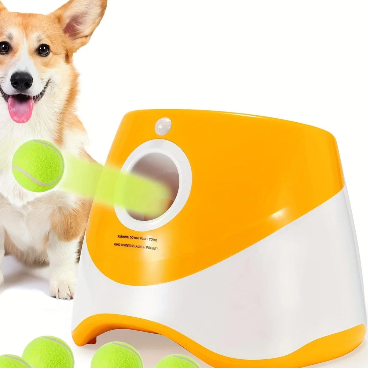 ZoomFetch