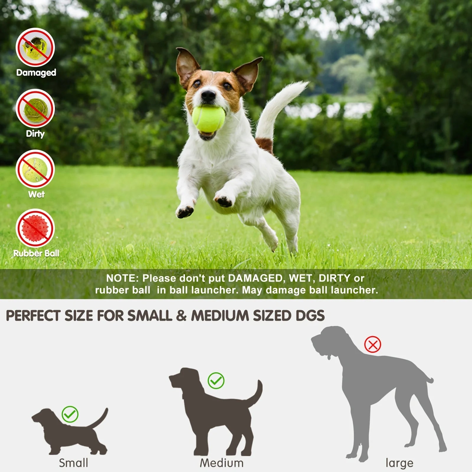 ZoomFetch